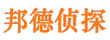 平原市私人调查